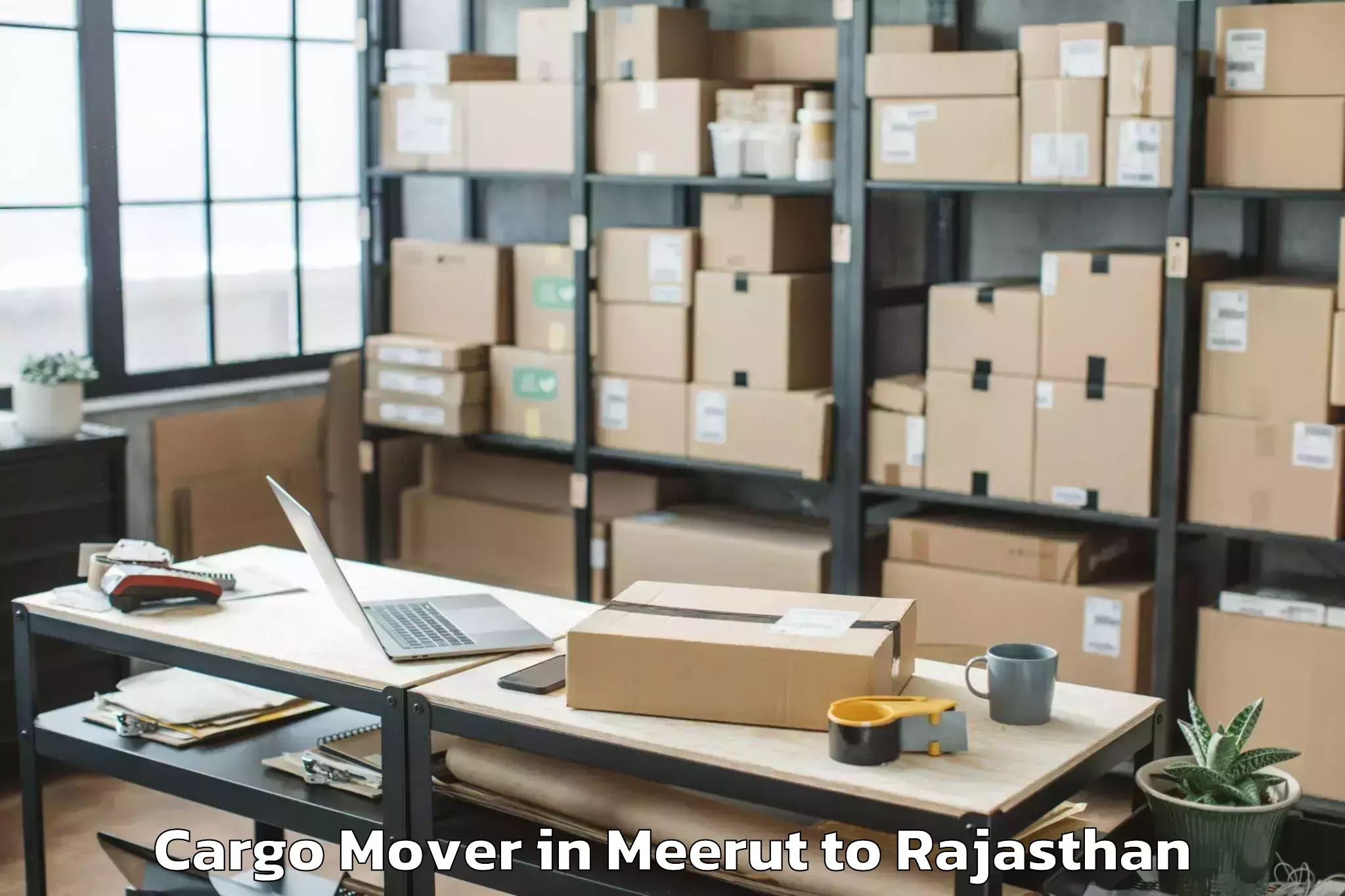 Easy Meerut to Deshnok Cargo Mover Booking